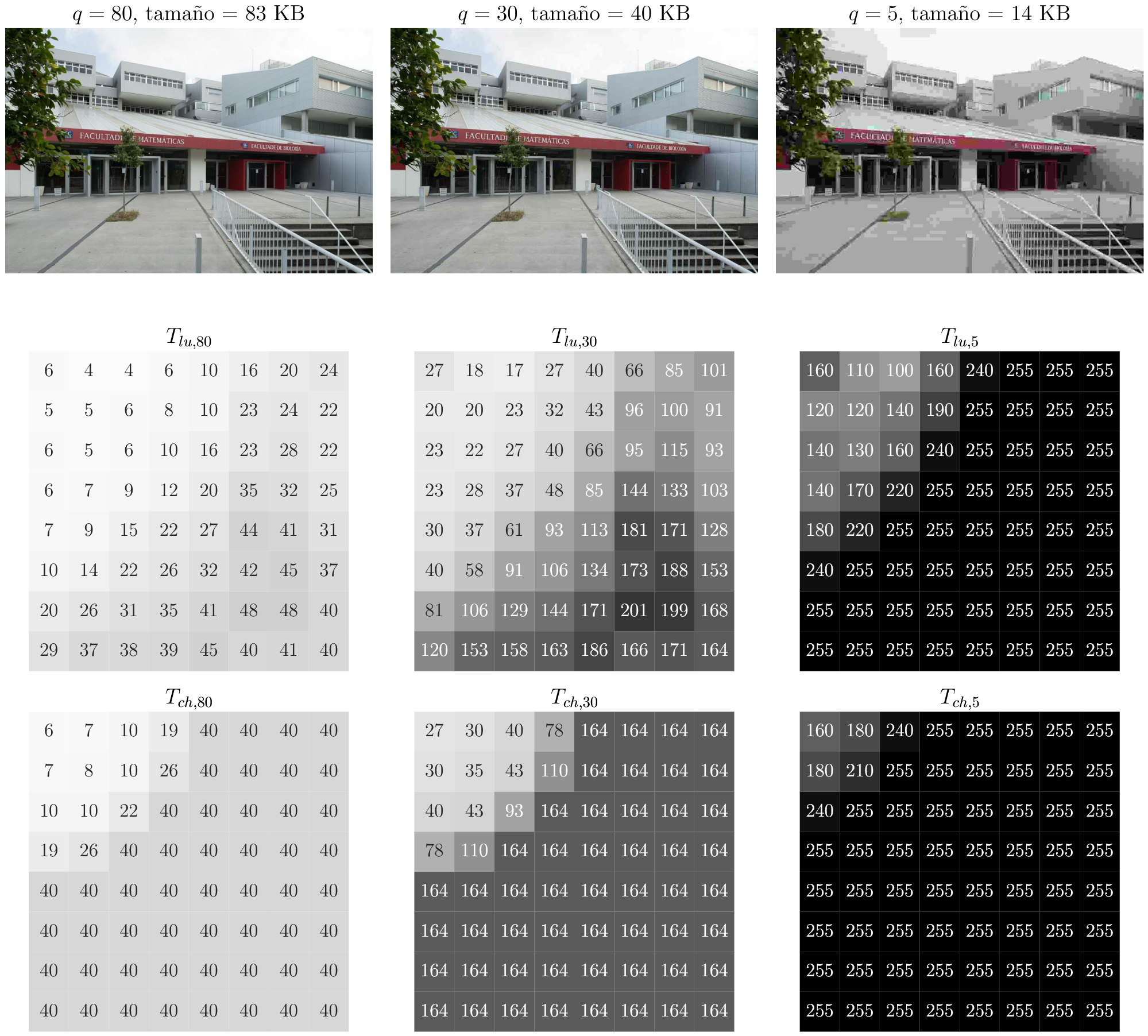 JPEG quality versus compression example